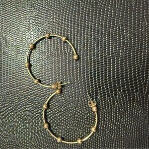 Elegant Enewton Gold Hoop Earrings